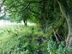 
Course of the Caerleon Tramroad,<br>July 2011